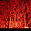Bengalische Zylinderflamme, rot 20min