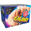 Jorge Gigant JW822