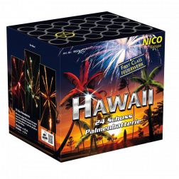 Nico Hawaii
